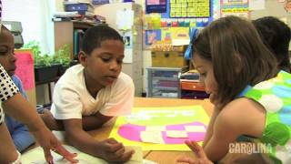 First Grade Science STC: Taking a Look at Ourselves