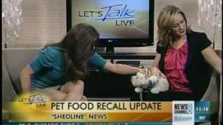 2 CUTE dogs visit Natasha on Let's Talk Live