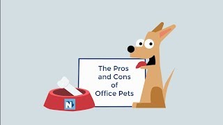 NovaLoca Blog: The Pros and cons of Office Pets