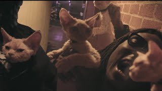 Gangsta - Tezzus + Pz’ (Official Music Video)