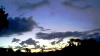 Loros peruanos Fundo Marita Amanecer