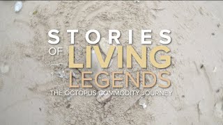 GLOBAL MARINE COMMODITIES OCTOPUS LONG FORM DOCUMENTARY