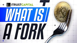 What is a Fork in Blockchain?