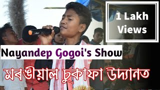 Nayandeep Gogoi Stage Show At Morongial Sukafa Park