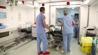 Vanguard Healthcare - Mobile Theatre installation at the Istituto Oncologico Veneto I.R.C.C.S