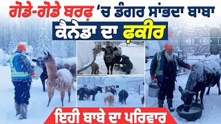 ਕੈਨੇਡਾ ਦੀ ਬਰਫ਼ 'ਚ ਬਾਬੇ ਨੇ ਟੱਬਰ ਵਾਂਗ ਸੰਭਾਲੇ ਪਸ਼ੂ, Canada da Fakir, V9 Punjabi