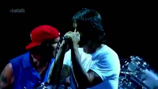Red Hot Chili Peppers - Factory of Faith [Live, Lollapalooza Chile 2014]