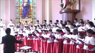 8. Cheio de Alegria, Aleluia - Hinário Litúrgico Católico - Canto de Entrada - Tempo Comum