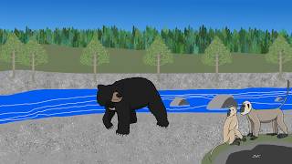 Animal Speed-Painting | Episode 3 🐻