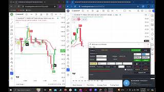 ProReal Live Stream