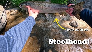 PNW Float fishing summer Steelhead! (Multiple fish caught)
