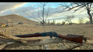 Taylors 1873 44 40 50 yard accuracy test