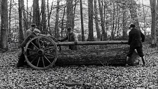BEFORE MACHINERY: Felling a 200-Year-Old Oak for a Mill