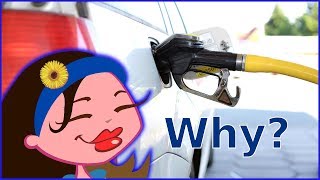 Why Do We LIKE Weird or Disgusting SMELLS?