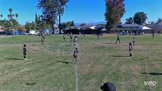 Oc Scorpions  vs Panthers U-8