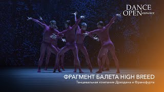 High Breed | Dance Open: Selected