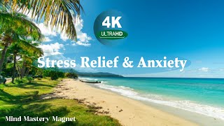 Deep focus and unwind completely,  to live a fulfilling and peaceful life! 4K Relaxing Video ©