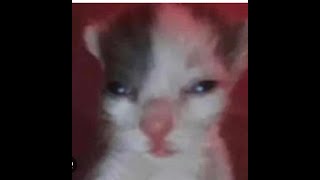 Chad jamesvr11 Live Stream