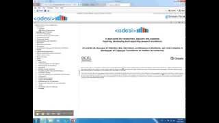 Getting Started with Beyond 20/20