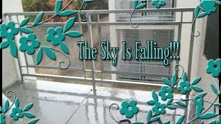 The Sky Is Falling!!!