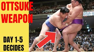 Wakatakakage’s Ozeki Bid Explained: The Ottsuke Weapon & Why Days 1–5 Decide