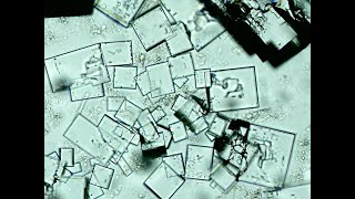 Tinnitus Sound Therapy VII: Crystal Cathedrals