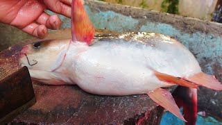 Cutting Skills big pakkas Fish Cutter video ln Bangladesh fish market and oxygen market