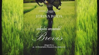 STRINA RODA (L.Županović) / Vokalni ansambl BREVIS