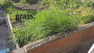 I wanna touch grass