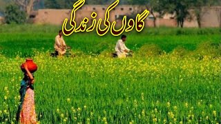 Most Beautifull Village Life in Punjab Pakistan||Daily Routine work in Village