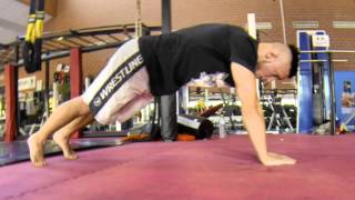 Kudokai  Calisthenics training-Chest,triceps day.