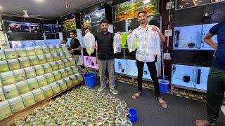 Bahot Sari New Fish Leli 🐠 #RTC