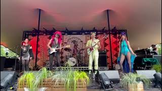 Dead Librarians - Best dressed chicken in town (live @wildernessfestival at @themotherwolfclub show)