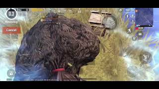 Old memories of season 12 😁😁😁