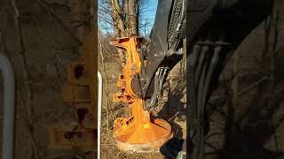 TL755d Timberpro with Quadco 27sc Hotsaw Beast Cummins Feller buncher