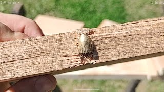 Cherry Wood vs. 9mm Bullet (Hardness Test)