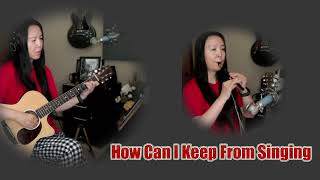 Irish Whistle (my new toy) HOW CAN I KEEP FROM SINGING #music #irishwhistle #americanfolksong #老地雷
