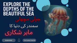 Explore The Depths of The Beautiful Sea | #The Content Club 512| #Marinelife|