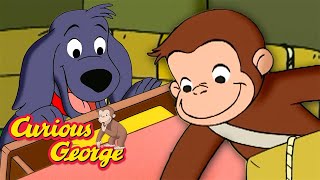 What a Good Dog! 🐵 Curious George 🐵 Kids Cartoon 🐵 Kids Movies