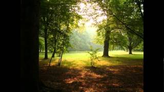 Phonoamplifier - Deep Enough