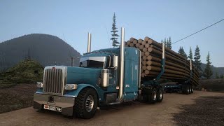 Logging in Texas | American Truck Sim