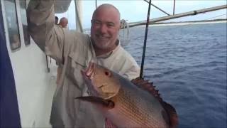 Coral Sea Fishing Video!!  Central Diamond Islet!!