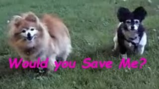 Did you save me - or did I save you?  Music video