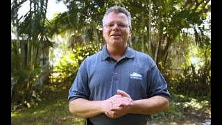 Fall Pond Maintenance