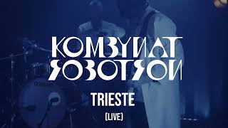 Kombynat Robotron - Trieste (Live)