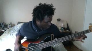 Bass Noodles