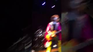 Trextasy visions of domino live