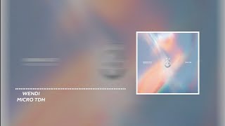 MICRO TDH - Wendi [Letra/lyrics]