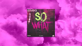 2N8G- So What (Official Video)|#techhouse #basshouse