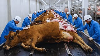 How Millions of McDonald’s Burgers Are Made – Advanced Robotics & Cryogenic Freezing